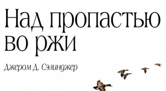 Над пропастью во ржи читательский дневник кратко. Над пропастью во ржи краткое содержание.