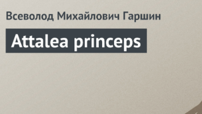 Attalea princeps презентация 5 класс