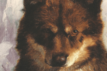 Картинки бурый волк джек лондон
