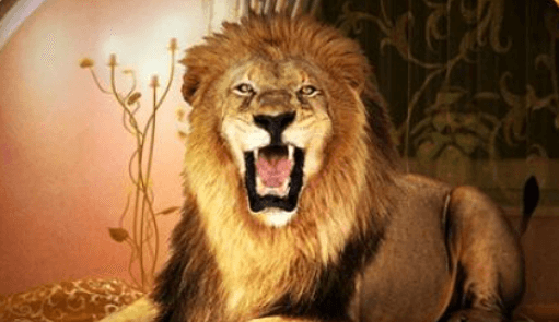 Брэдбери - Вельд: краткое содержание, пересказ для читательского ...